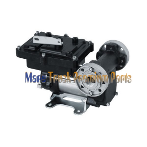 αντλια βενζινης 220V